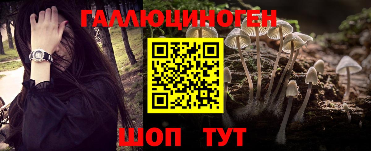 где купить   Псилоцибиновые грибы Cubensis  Вход с VPN  Бийск 
