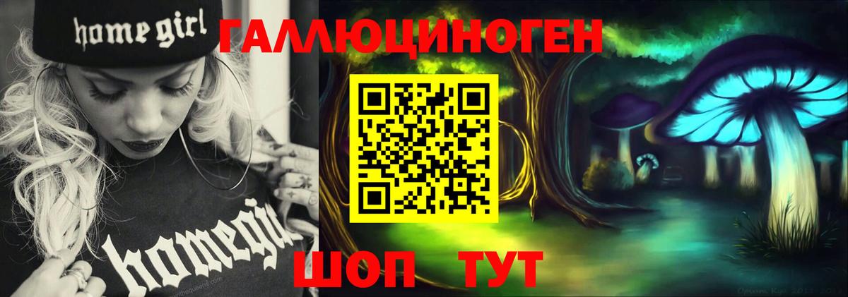 Псилоцибиновые грибы Psilocybine cubensis Бийск